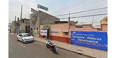 COLEGIO GRECO LATINO