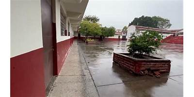 COLEGIO HOCKHMAH II