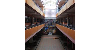 COLEGIO PEDAGOGIA FREIREANA