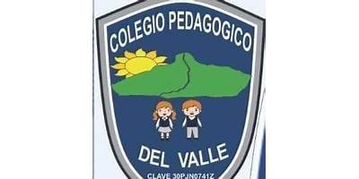 COLEGIO PEDAGOGICO DEL VALLE