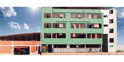 DAVID AUSUBEL