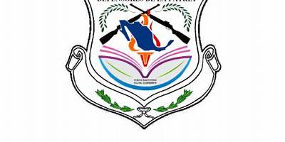 DEFENSORES DE LA PATRIA