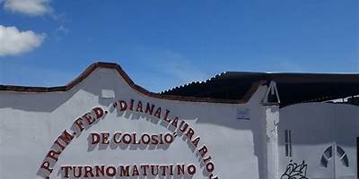 DIANA LAURA RIOJAS DE COLOSIO
