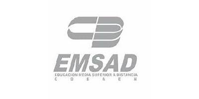 EDUCACION MEDIA SUPERIOR A DISTANCIA NUM. 26, CERRITO DE ROJAS