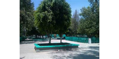 EL CARRUSEL PLANTEL NUM. 2