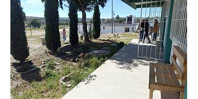 Imagen de la galería