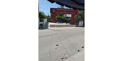 ESCUELA PREPARATORIA REGIONAL DE CIHUATLAN