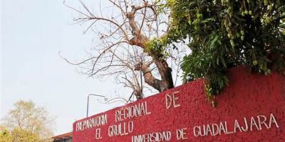 ESCUELA PREPARATORIA REGIONAL DE EL GRULLO