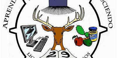 ESCUELA SECUNDARIA TECNICA 29