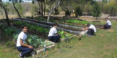 ESCUELA SECUNDARIA TECNICA AGROPECUARIA 136