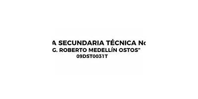 ESCUELA SECUNDARIA TECNICA NUM. 31