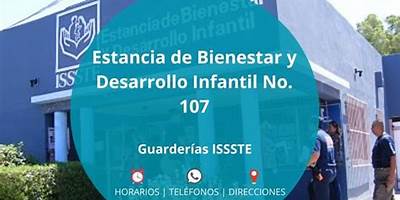 ESTANCIA DE BIENESTAR INFANTIL ISSSTE 89 ROSA MARIA FLORES MURILLO