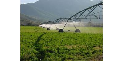 EXPORTADORA AGRICOLA SACRAMENTOS, S.A. DE C.V.