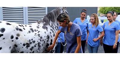 FACULTAD DE MEDICINA VETERINARIA Y ZOOTECNIA U.A.N.L.