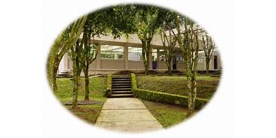 FACULTAD DE ODONTOLOGÍA