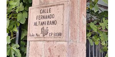 FERNANDO ALTAMIRANO