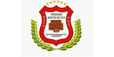 FERNANDO MONTES DE OCA RODRIGUEZ