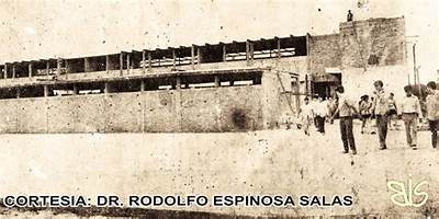 FRANCISCO BENITEZ SILVA