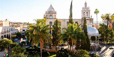 GUADALUPE GONZALEZ DEL PINO