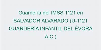 GUARDERIA INFANTIL DEL EVORA, A.C.