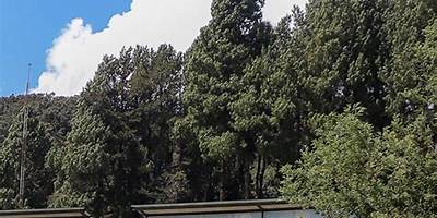 HACIENDA NUEVA