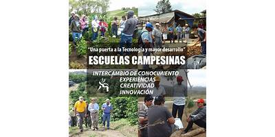 HAZ DE VOLUNTADES CAMPESINAS