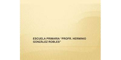 HERMINIO GONZALEZ ROBLES