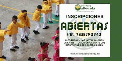 INSTITUTO ALBORADA