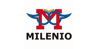 INSTITUTO BILINGUE MILENIO, A. C.