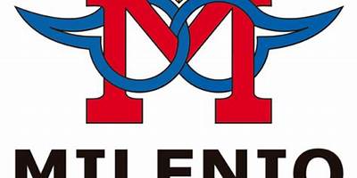 INSTITUTO BILINGUE MILENIO