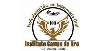 INSTITUTO CAMPO DE ORO