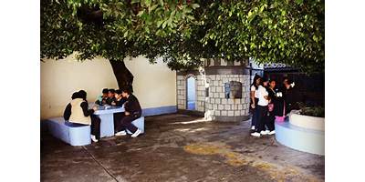 Imagen de la galería