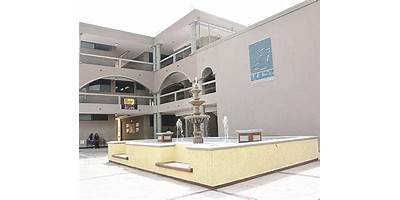 INSTITUTO DE CIENCIAS Y ESTUDIOS SUPERIORES DE TAMAULIPAS CAMPUS REYNOSA
