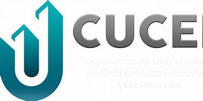INSTITUTO DE COMPETENCIAS EDUCATIVAS Y PROFESIONALES