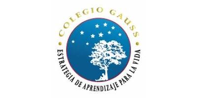 INSTITUTO DE ESPECIALIDADES "FRIEDRICH GAUSS"
