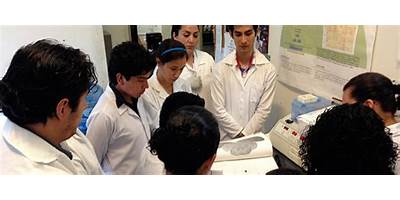INSTITUTO DE INVESTIGACIONES CEREBRALES