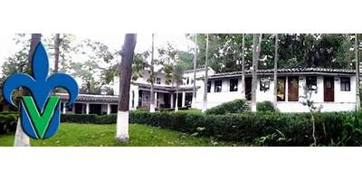 INSTITUTO DE INVESTIGACIONES FORESTALES