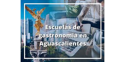 INSTITUTO GASTRONÓMICO DE AGUASCALIENTES