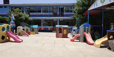 INSTITUTO PEDAGOGICO LOS GIRASOLES