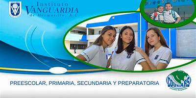 INSTITUTO VANGUARDIA EDUCATIVA