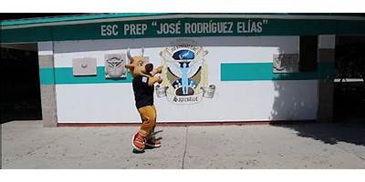 JOSE RODRIGUEZ ELIAS