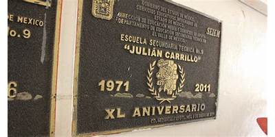 JULIAN CARRILLO TRUJILLO