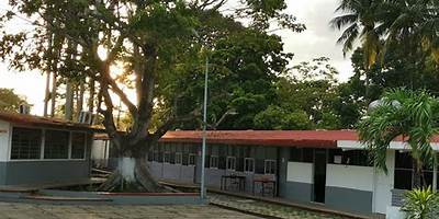 MARGARITA CÁMARA SANSORES