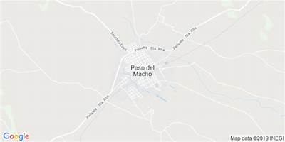MATA BEJUCO