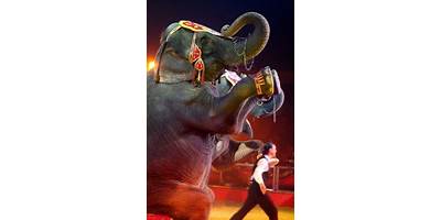 METEPEC (CIRCO OSKAR CHON)