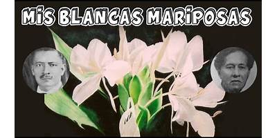 MIS BLANCAS MARIPOSAS