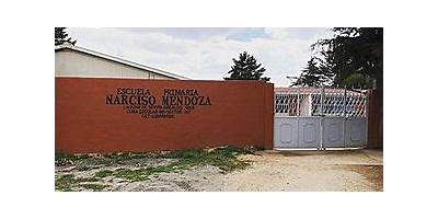 NARCISO MENDOZA