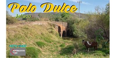 PALO DULCE