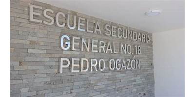 PEDRO OGAZON