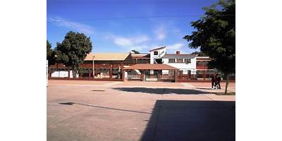PERIQUITO